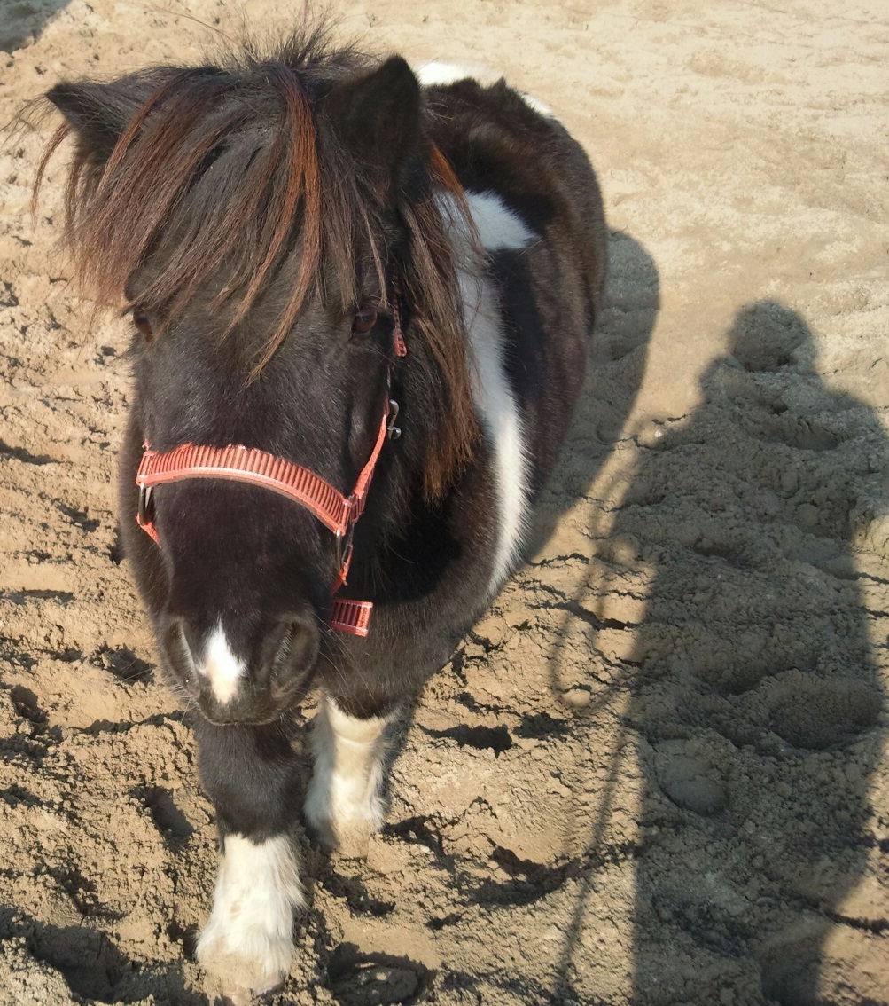 Billie